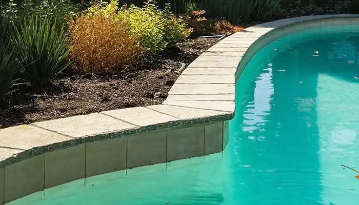 Vintage Limestone Paver Pool Side